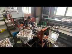 ODM青いハンドル色でカスタマイズされたガスパイプシャットオフバルブ